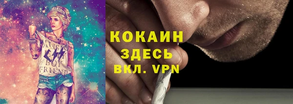 бошки Алексин