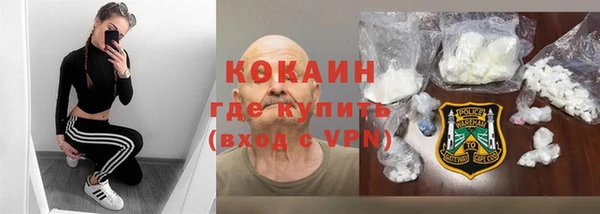 бошки Алексин