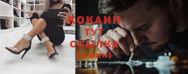 мяу мяу мука Билибино