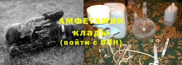бошки Алексин