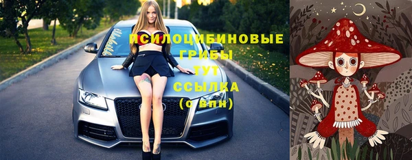 бошки Алексин