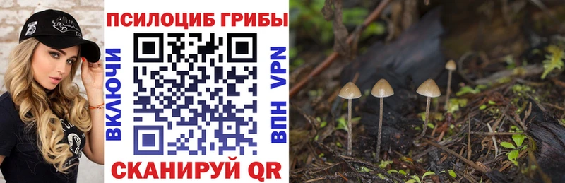 Галлюциногенные грибы MAGIC MUSHROOMS  где найти   Глазов 