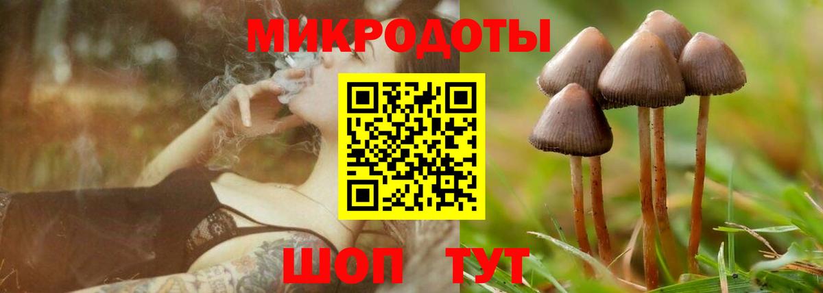 Псилоцибиновые грибы Psilocybe  Вход с VPN  Глазов 